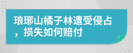 瑯琊山橘子林遭受侵占，損失如何賠付