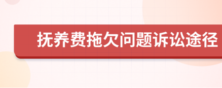 撫養(yǎng)費(fèi)拖欠問題訴訟途徑