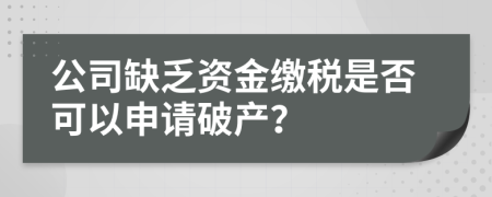 公司缺乏資金繳稅是否可以申請破產(chǎn)？
