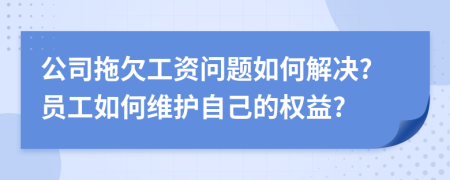 公司拖欠工資問題如何解決?員工如何維護(hù)自己的權(quán)益?