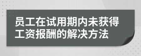 員工在試用期內(nèi)未獲得工資報酬的解決方法