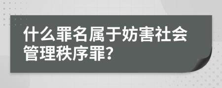 什么罪名屬于妨害社會管理秩序罪？