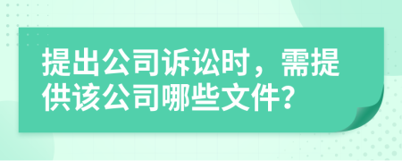提出公司訴訟時(shí)，需提供該公司哪些文件？