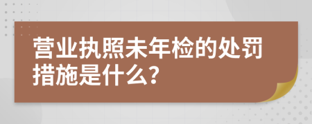 營業(yè)執(zhí)照未年檢的處罰措施是什么？