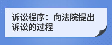 訴訟程序：向法院提出訴訟的過程