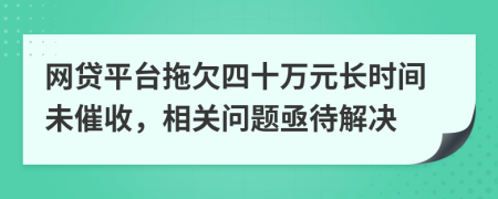 網(wǎng)貸平臺(tái)拖欠四十萬(wàn)元長(zhǎng)時(shí)間未催收，相關(guān)問(wèn)題亟待解決