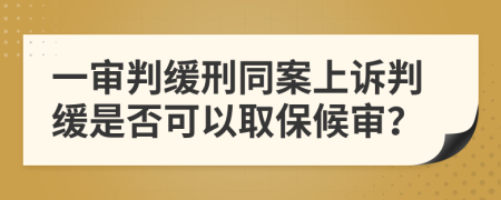 一審判緩刑同案上訴判緩是否可以取保候?qū)彛?>
                </a>
            </div>
            <div   id=