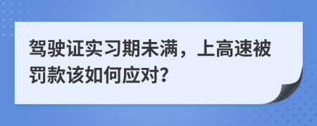 駕駛證實(shí)習(xí)期未滿，上高速被罰款該如何應(yīng)對(duì)？