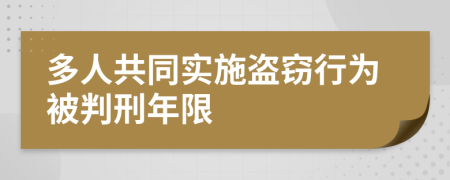 多人共同實施盜竊行為被判刑年限