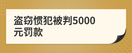 盜竊慣犯被判5000元罰款