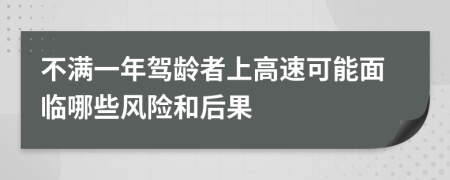 不滿一年駕齡者上高速可能面臨哪些風(fēng)險(xiǎn)和后果