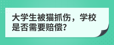 大學生被貓抓傷，學校是否需要賠償？
