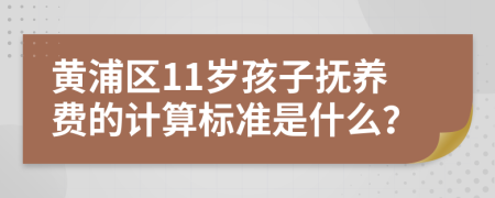 黃浦區(qū)11歲孩子撫養(yǎng)費(fèi)的計(jì)算標(biāo)準(zhǔn)是什么？