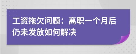 工資拖欠問(wèn)題：離職一個(gè)月后仍未發(fā)放如何解決