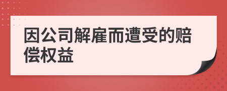 因公司解雇而遭受的賠償權(quán)益