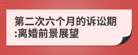 第二次六個月的訴訟期:離婚前景展望