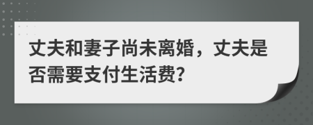 丈夫和妻子尚未離婚，丈夫是否需要支付生活費(fèi)？