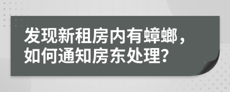 發(fā)現(xiàn)新租房?jī)?nèi)有蟑螂，如何通知房東處理？