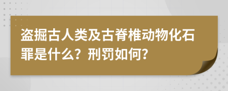 盜掘古人類及古脊椎動物化石罪是什么？刑罰如何？