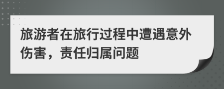 旅游者在旅行過(guò)程中遭遇意外傷害，責(zé)任歸屬問(wèn)題