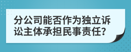 分公司能否作為獨立訴訟主體承擔(dān)民事責(zé)任？