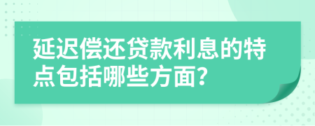延遲償還貸款利息的特點包括哪些方面？