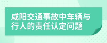 咸陽(yáng)交通事故中車輛與行人的責(zé)任認(rèn)定問(wèn)題