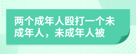 兩個(gè)成年人毆打一個(gè)未成年人，未成年人被