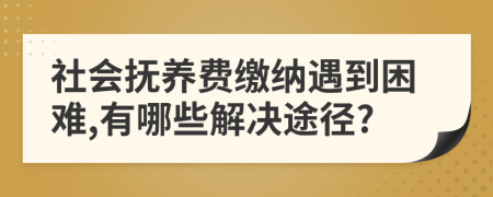 社會撫養(yǎng)費(fèi)繳納遇到困難,有哪些解決途徑?