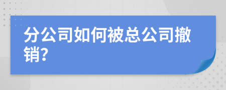 分公司如何被總公司撤銷？