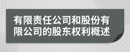 有限責(zé)任公司和股份有限公司的股東權(quán)利概述