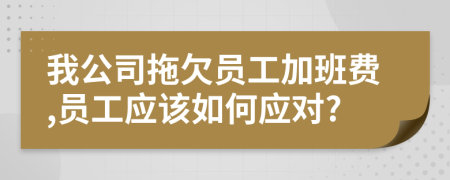 我公司拖欠員工加班費,員工應該如何應對?