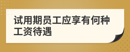 試用期員工應(yīng)享有何種工資待遇