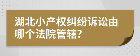 湖北小產(chǎn)權(quán)糾紛訴訟由哪個(gè)法院管轄？