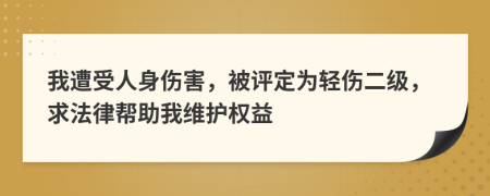 我遭受人身傷害，被評定為輕傷二級，求法律幫助我維護權(quán)益