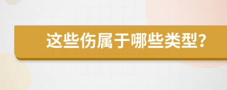 這些傷屬于哪些類(lèi)型？