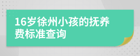 16歲徐州小孩的撫養(yǎng)費標準查詢