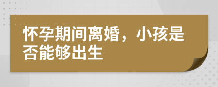 懷孕期間離婚，小孩是否能夠出生
