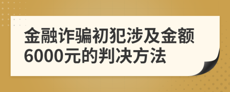 金融詐騙初犯涉及金額6000元的判決方法
