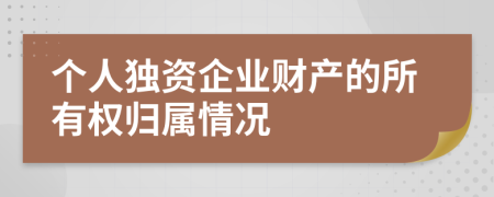 個(gè)人獨(dú)資企業(yè)財(cái)產(chǎn)的所有權(quán)歸屬情況