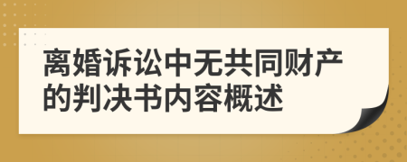 離婚訴訟中無共同財產(chǎn)的判決書內(nèi)容概述
