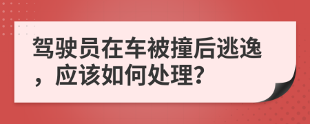 駕駛員在車被撞后逃逸，應(yīng)該如何處理？