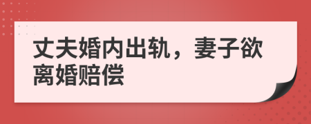 丈夫婚內(nèi)出軌，妻子欲離婚賠償