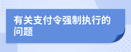 有關支付令強制執(zhí)行的問題