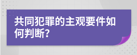 共同犯罪的主觀要件如何判斷？