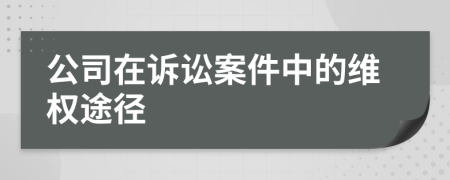 公司在訴訟案件中的維權(quán)途徑