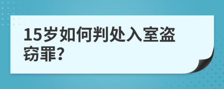 15歲如何判處入室盜竊罪？