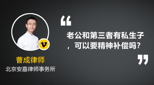 老公和第三者有了私生子，请问下他们属于重婚罪吗？我想要精神补偿可以吗？