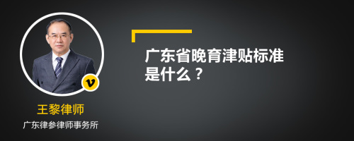 广东省晚育津贴标准是什么
