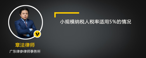 小规模纳税人税率适用5%的情况